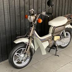 Suzuki Fz50