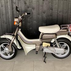 Suzuki Fz50