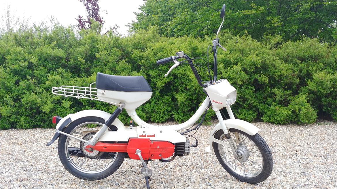 Puch Maxi Mini (Til Samlingen) billede 1