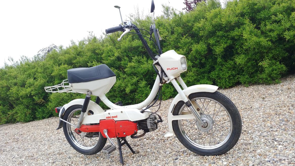 Puch Maxi Mini (Til Samlingen) billede 3