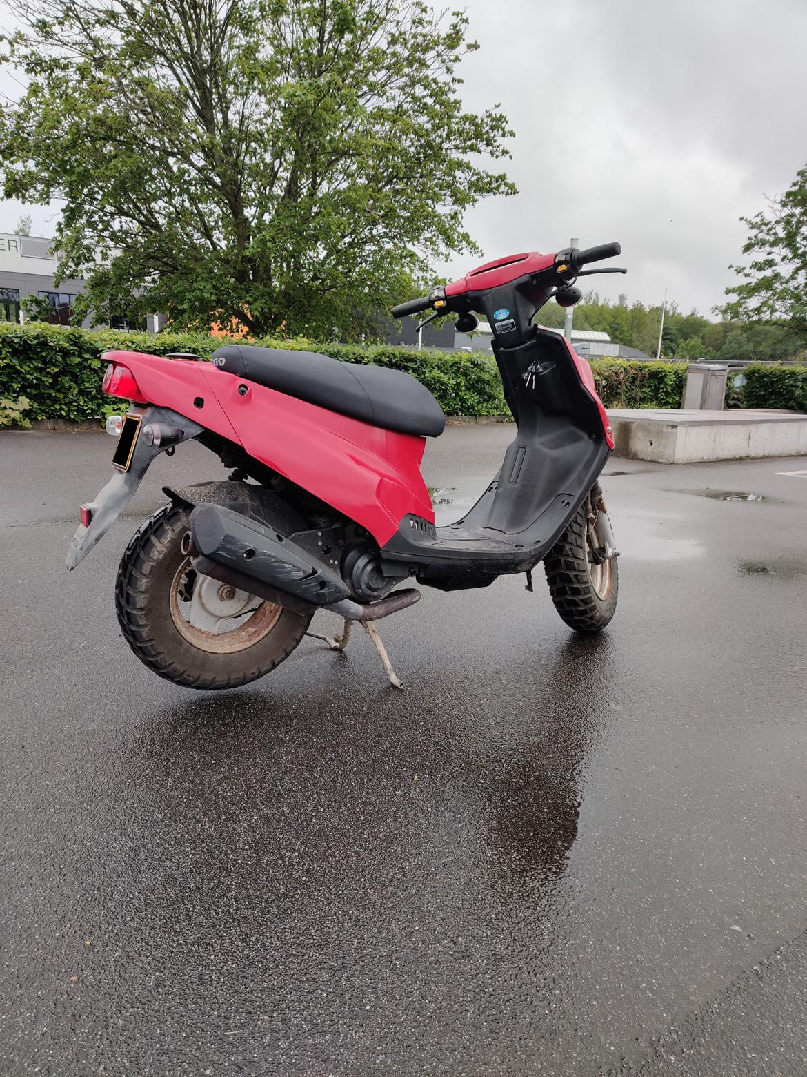 PGO Hot 50 billede 2