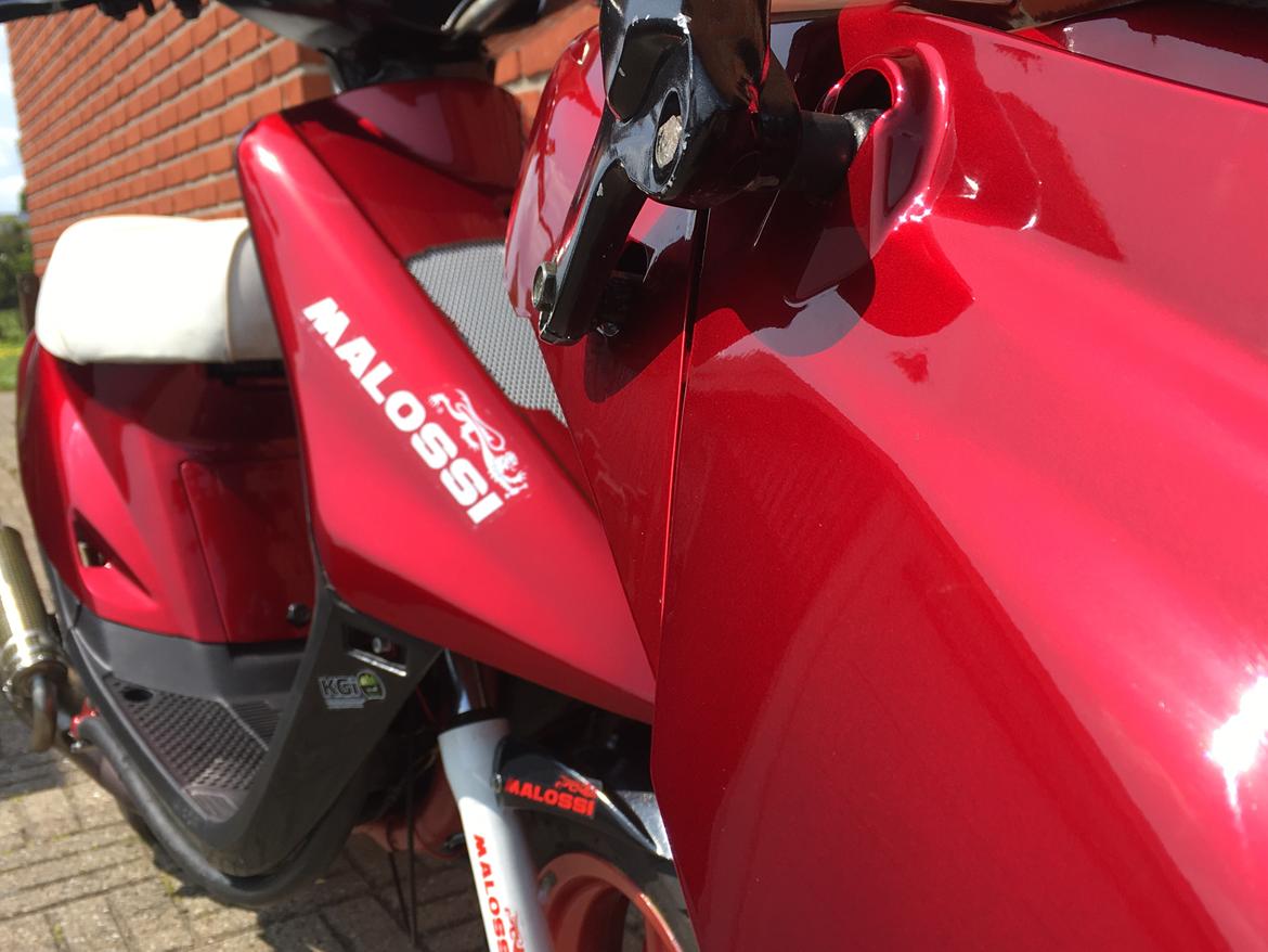 PGO HOT 50 SP L4 (futte) (bygget om til bane) billede 4