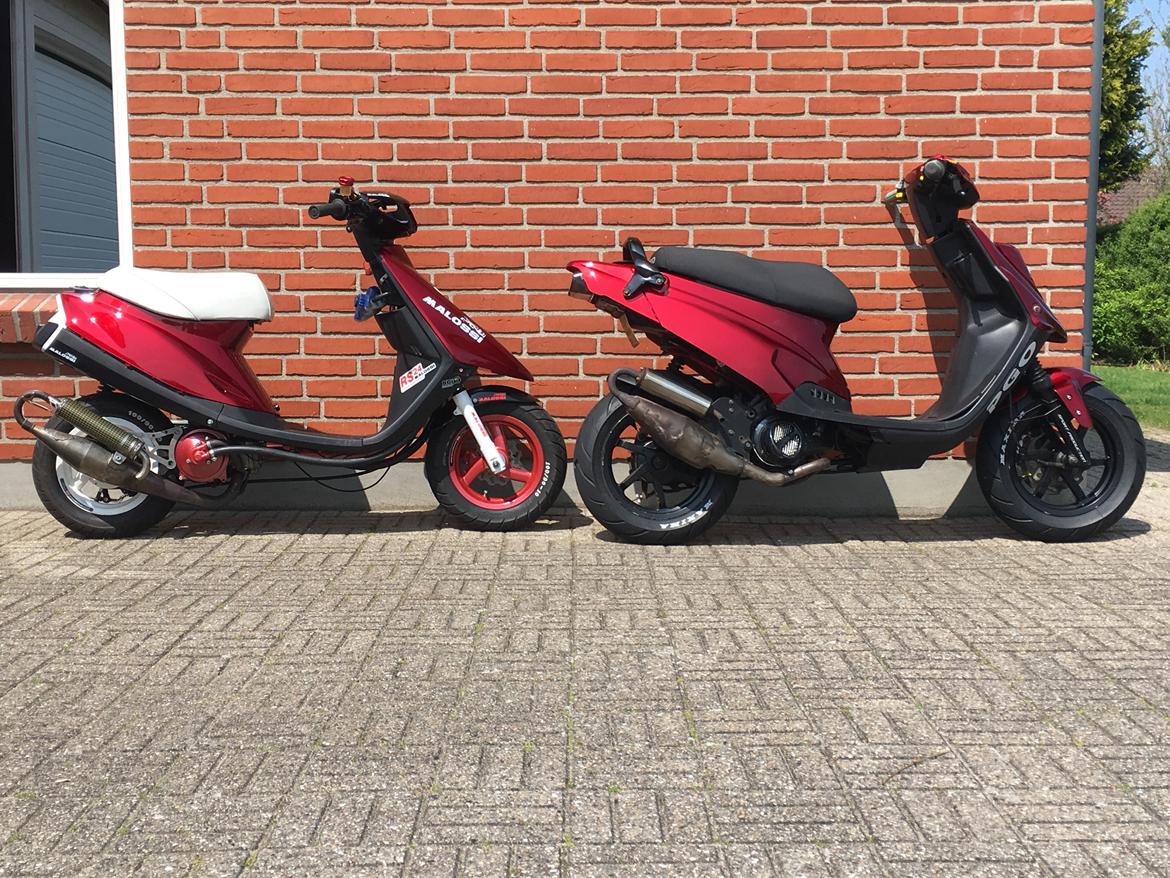 PGO HOT 50 SP L4 (futte) (bygget om til bane) billede 3