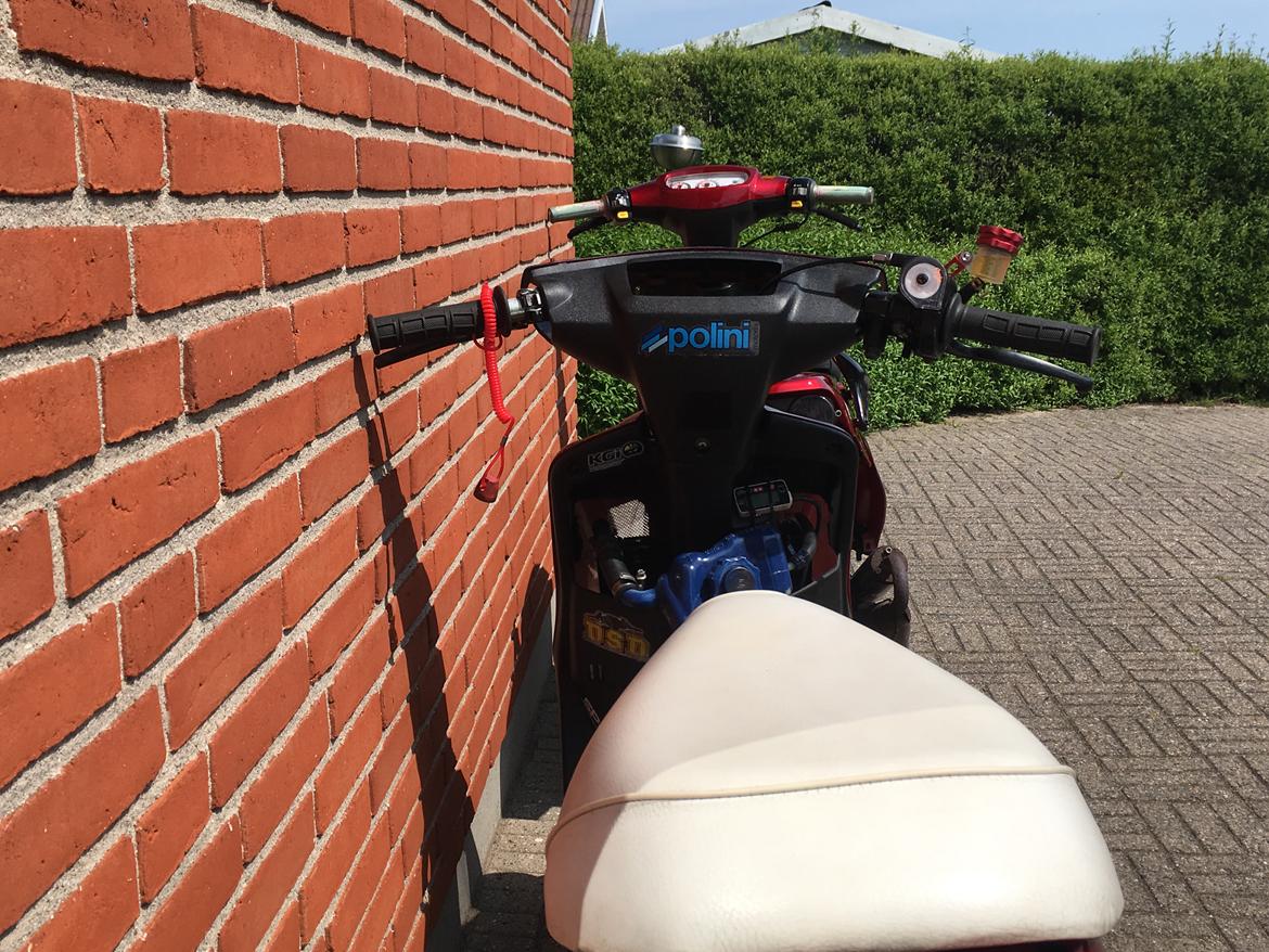 PGO HOT 50 SP L4 (futte) (bygget om til bane) billede 8