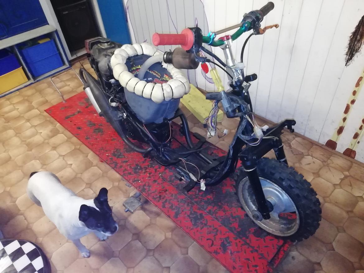 PGO Hot 50 lowrider'Lotte billede 6