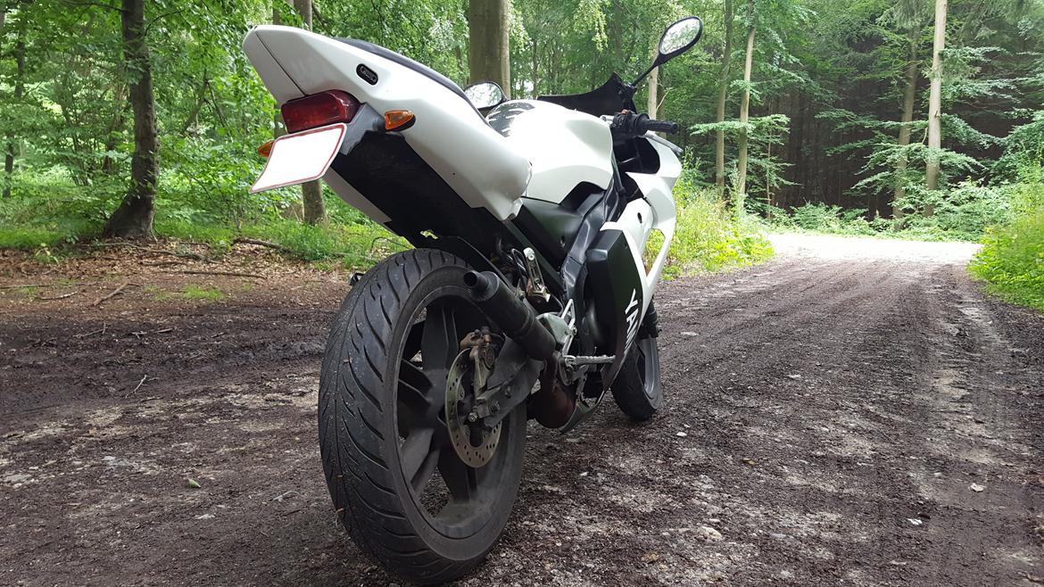 Yamaha TZR 50 billede 10