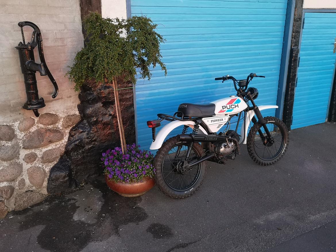 Puch pioneer billede 8