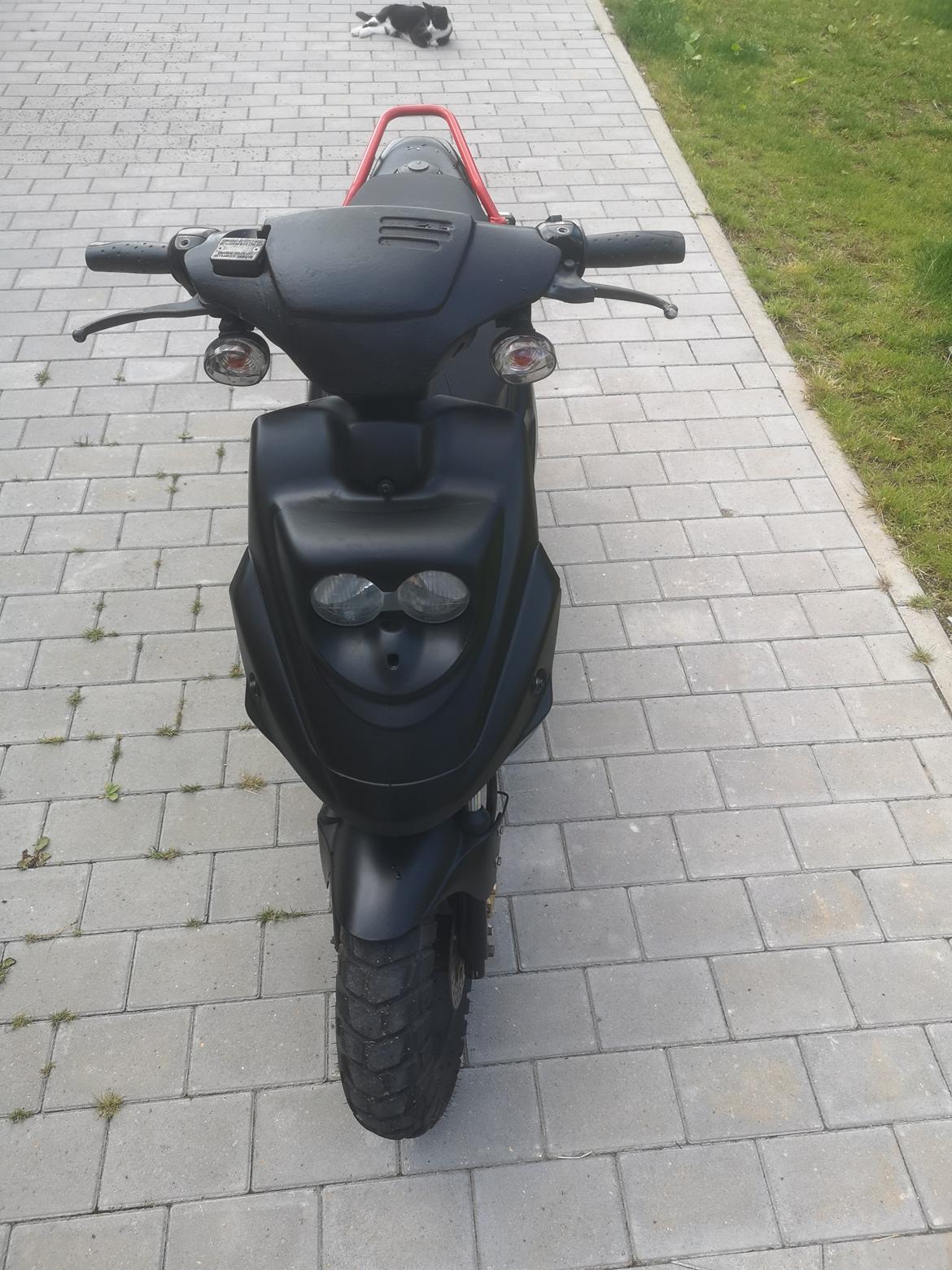 PGO  HOT 50 PMPS billede 13