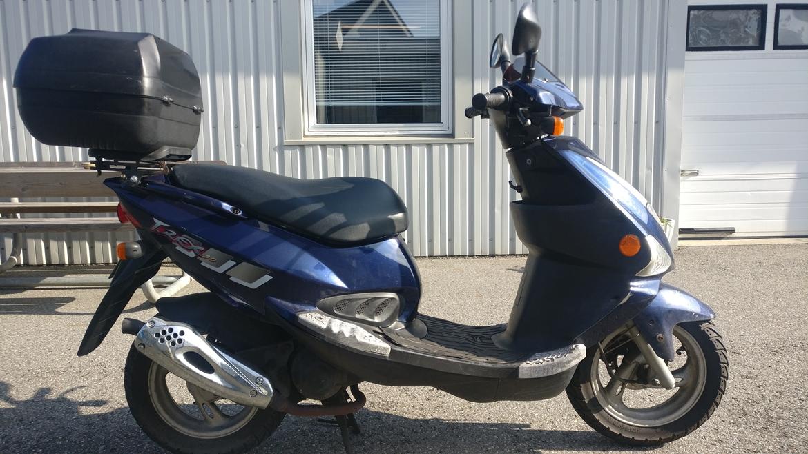 PGO T-Rex 50 billede 2