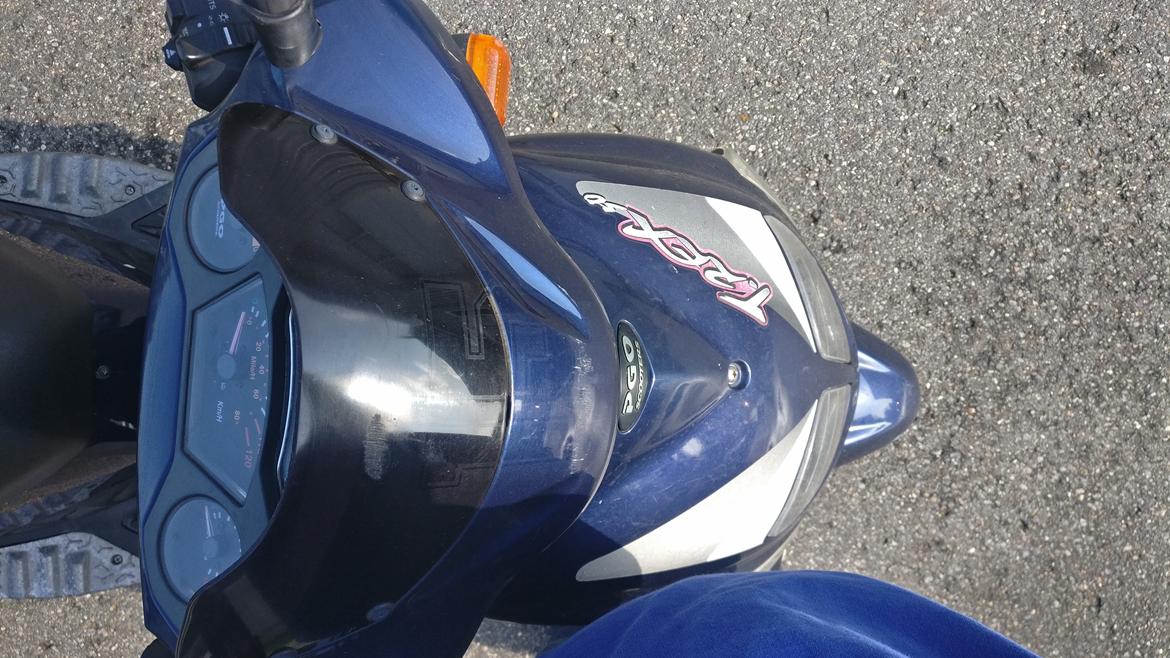 PGO T-Rex 50 billede 3