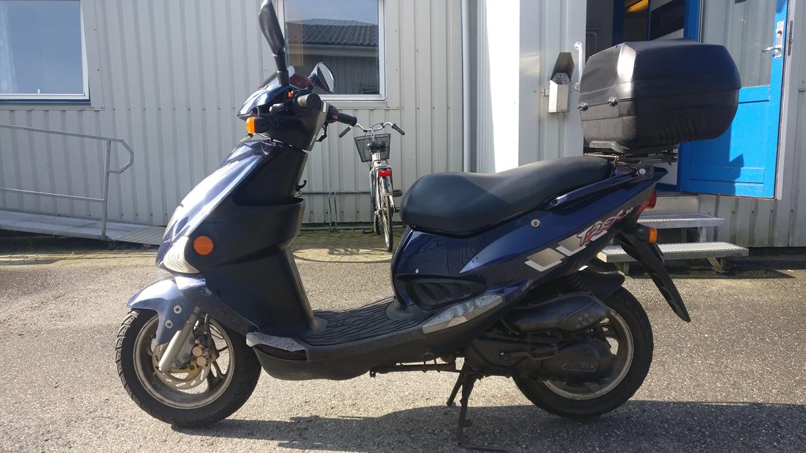 PGO T-Rex 50 billede 1