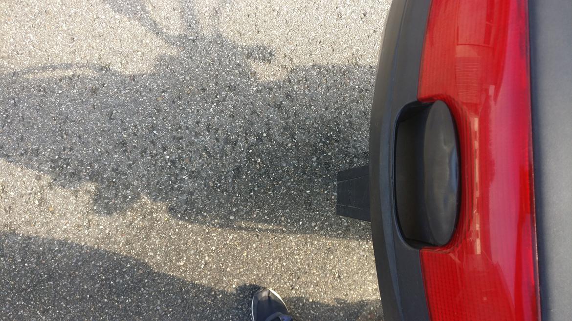 PGO T-Rex 50 billede 7