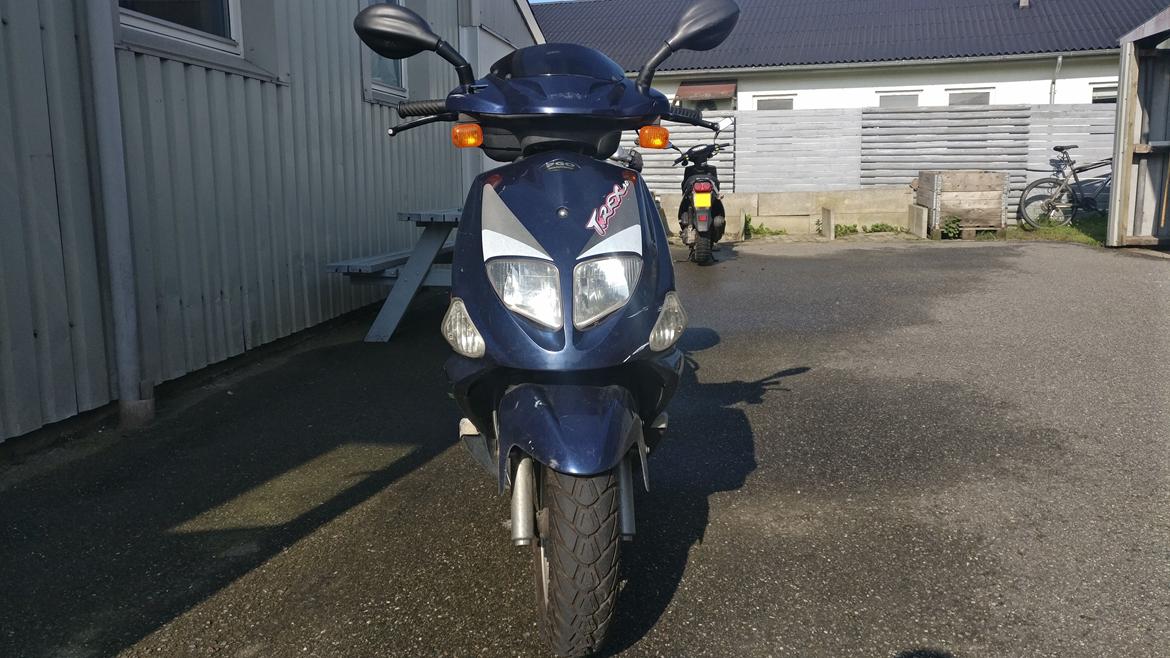 PGO T-Rex 50 billede 8