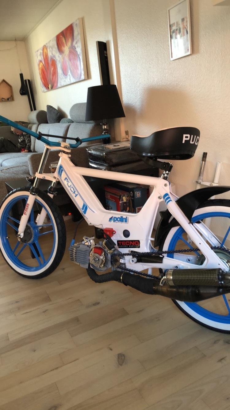 Puch Maxi k billede 8