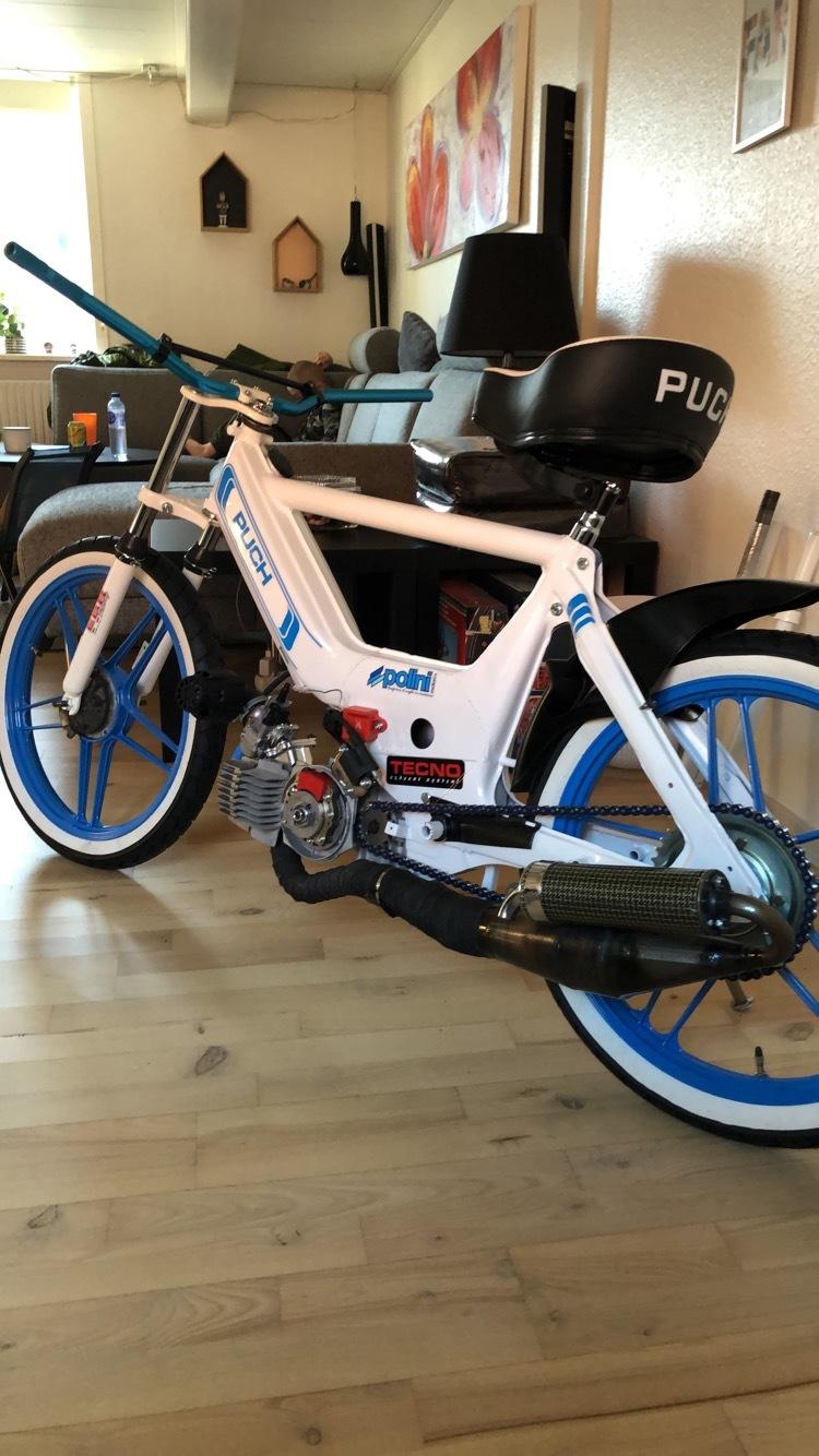 Puch Maxi k billede 9