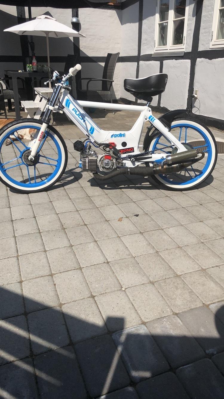 Puch Maxi k billede 12