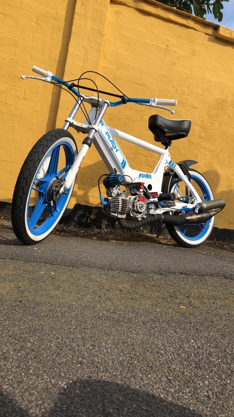 Puch Maxi k billede 16