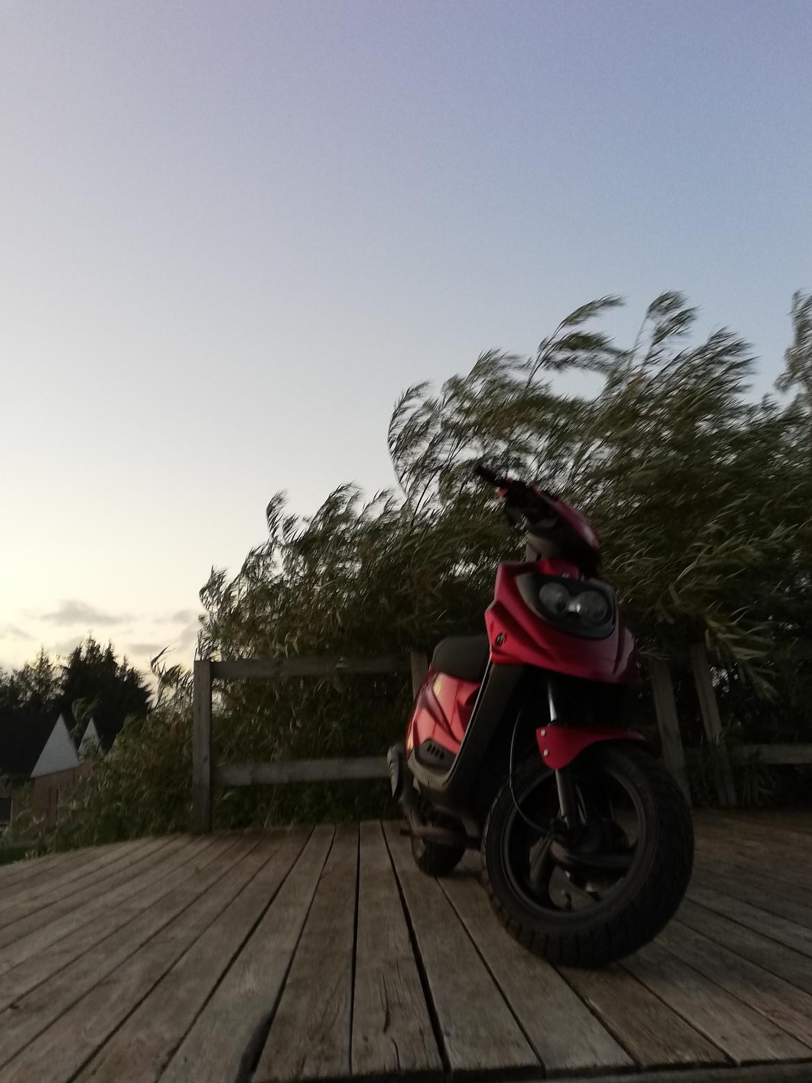 PGO Hot 50 billede 2