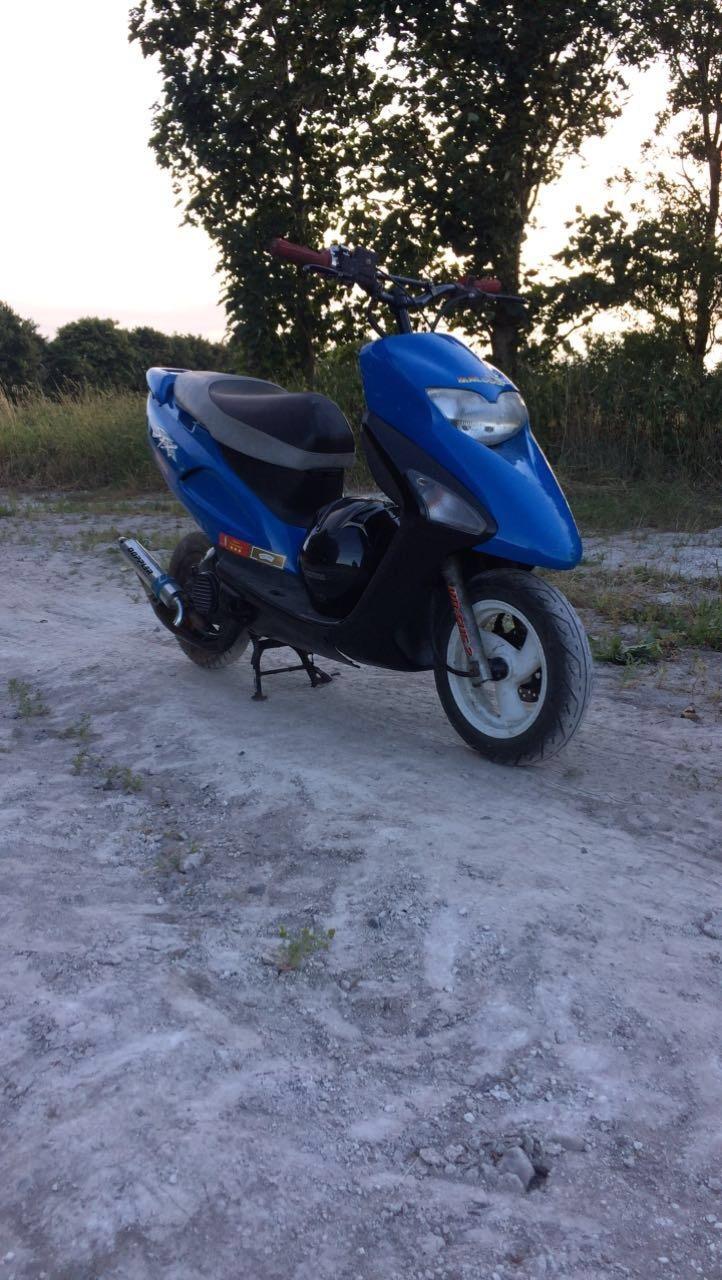 Honda Sfx billede 4
