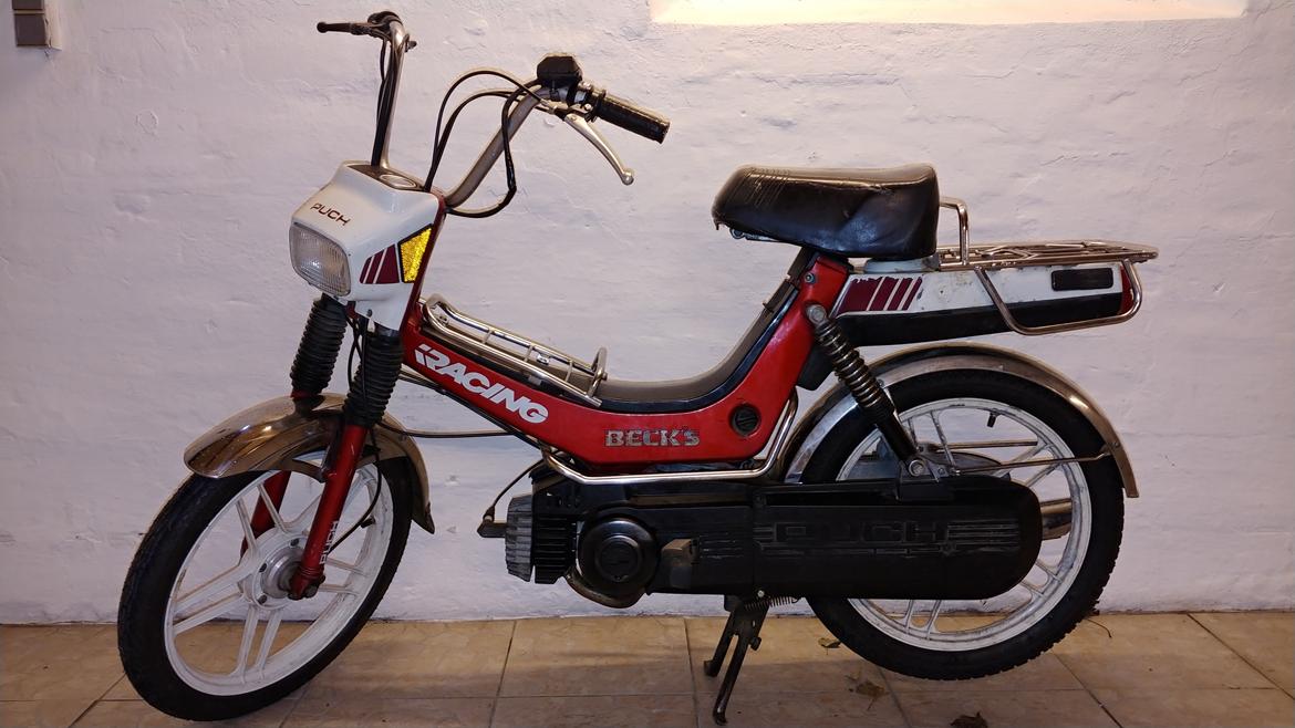 Puch Maxi plus 2 Racing. billede 12