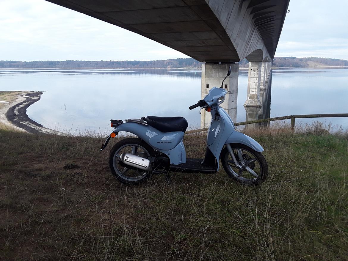 Aprilia Scarabeo billede 16