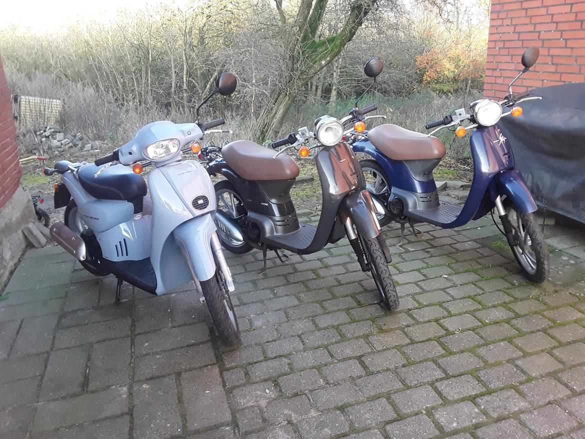 Aprilia Scarabeo billede 18