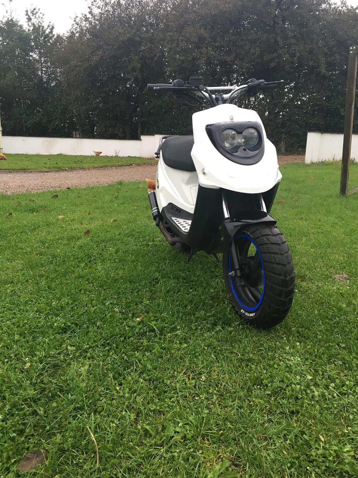 PGO Hot 50 billede 3