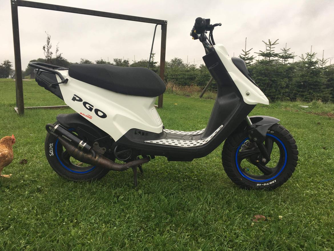 PGO Hot 50 billede 2