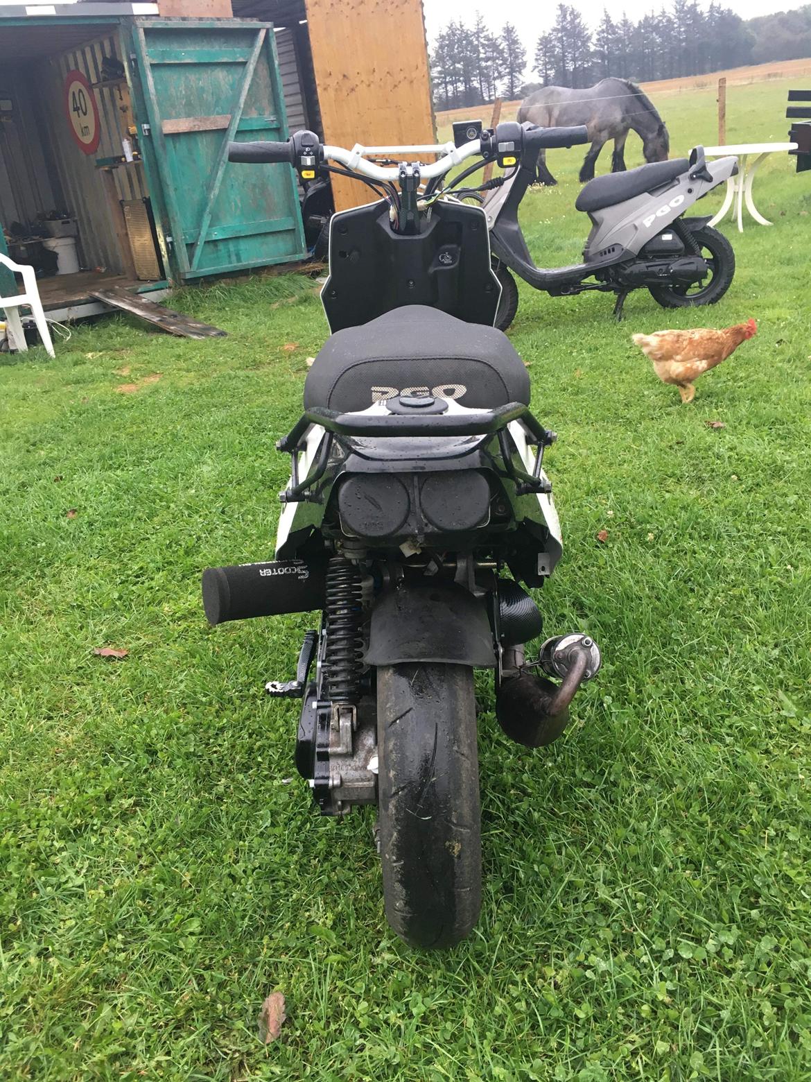 PGO Hot 50 billede 5