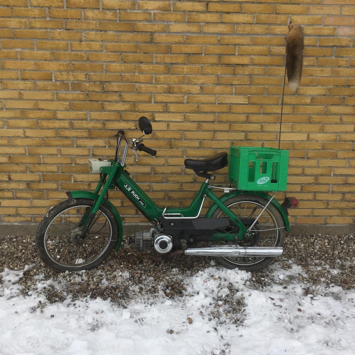 Puch Maxi K billede 3