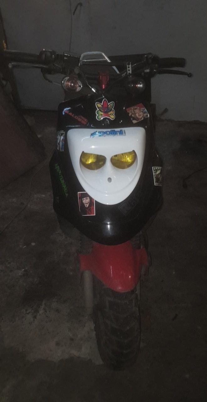 PGO hot 50 3 egers 12 model billede 6