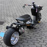 Honda zoomer (custom) low rider
