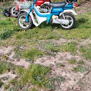 Suzuki FZ50