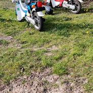 Suzuki FZ50