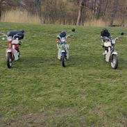 Suzuki FZ50