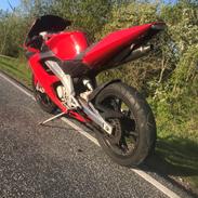 Derbi GPR 50 Racing