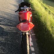 Derbi GPR 50 Racing