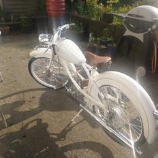 Veteraner The golden star knallert 