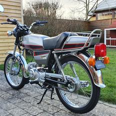 Suzuki DM50