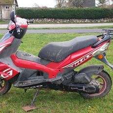 PGO G-max