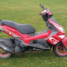 PGO G-max