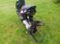 Aprilia sonic 