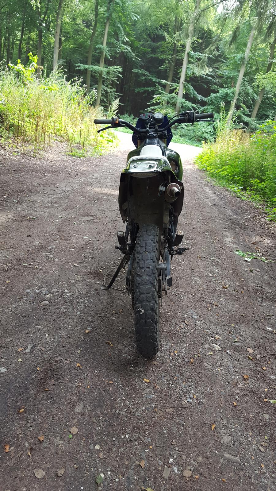 Suzuki RMX billede 5