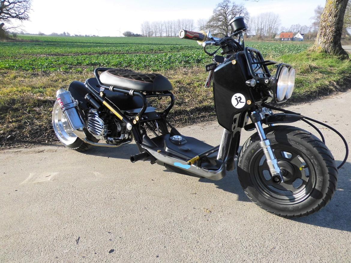 Honda zoomer custom