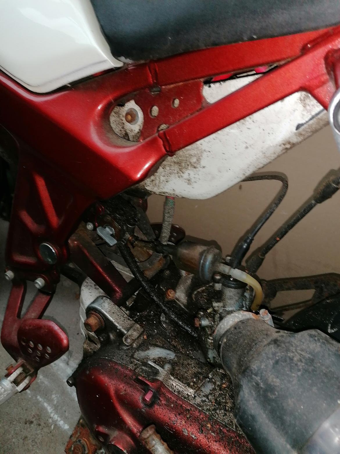 Suzuki Street Magic  billede 13