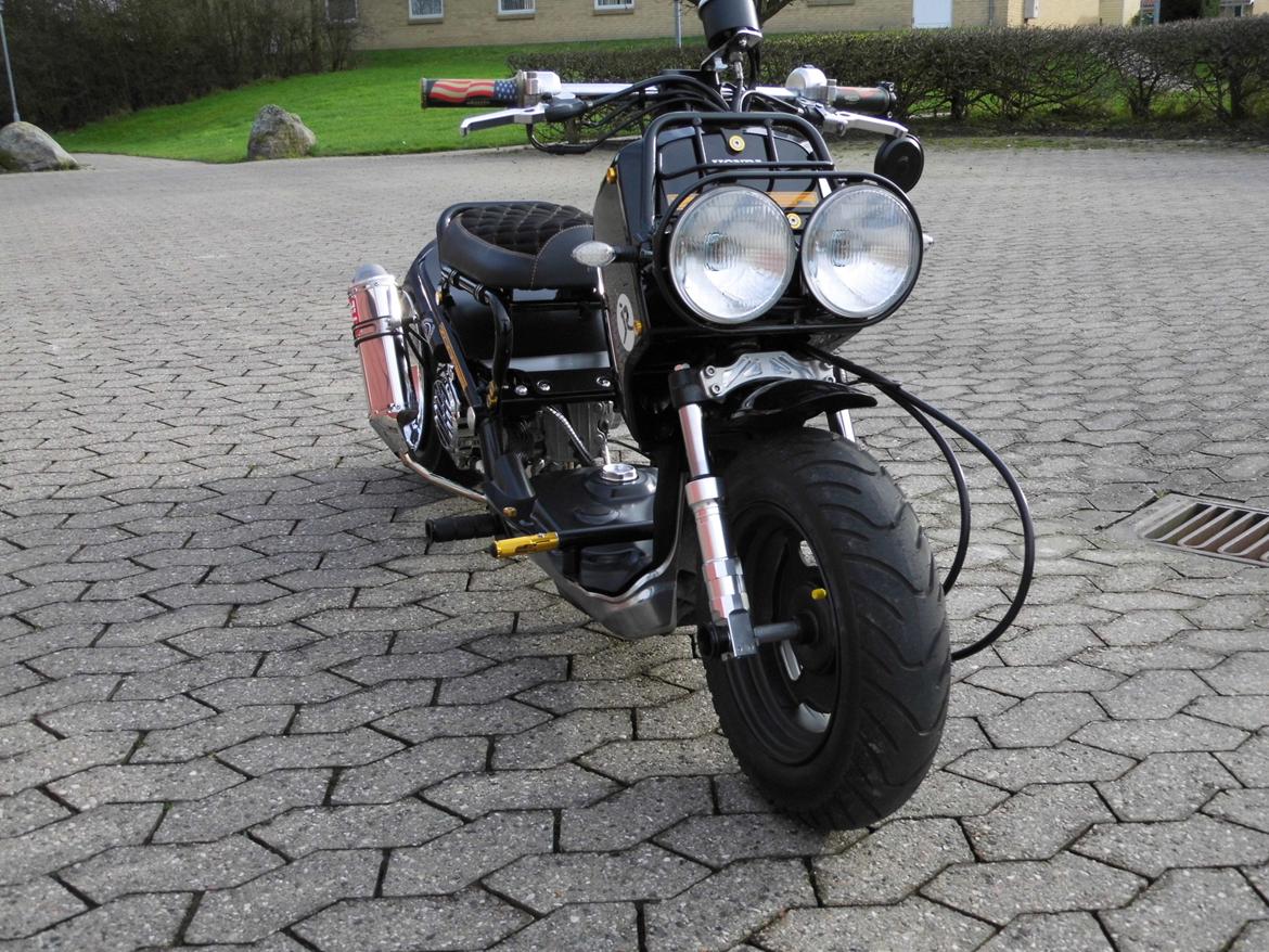 Honda zoomer custom