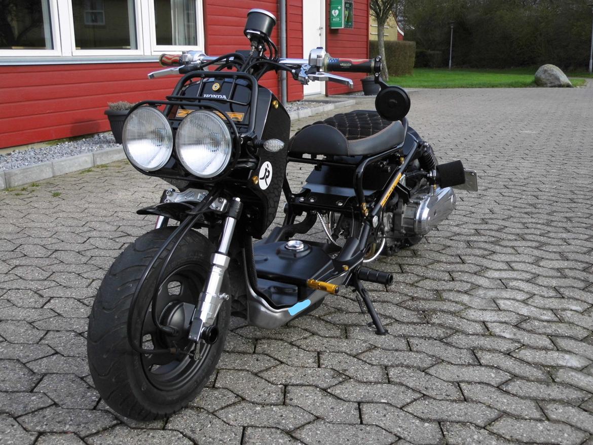 Honda zoomer custom
