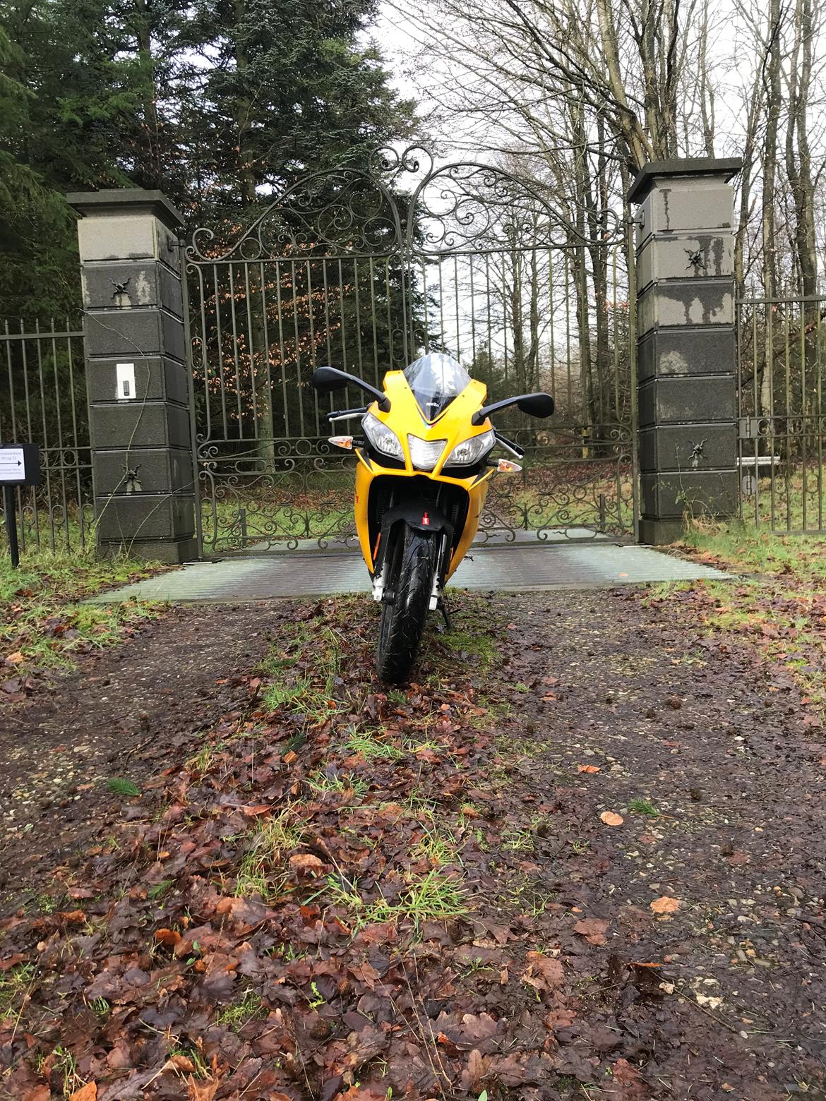 Aprilia Rs4 50 billede 7