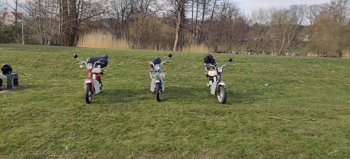 Suzuki FZ50 billede 6