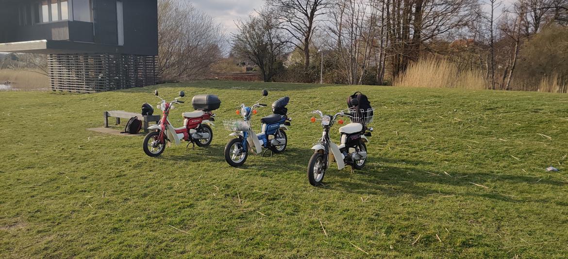 Suzuki FZ50 billede 7